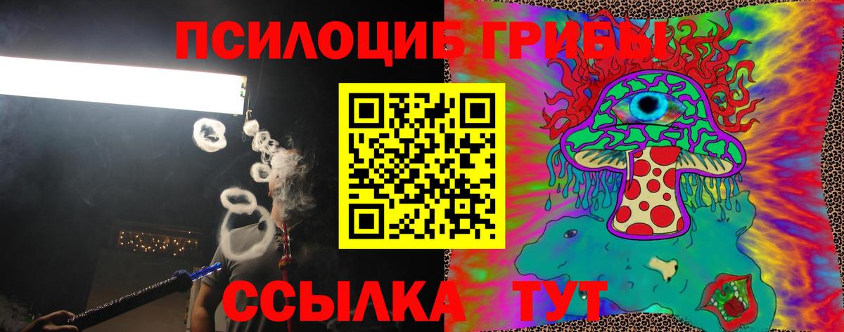 Псилоцибиновые грибы Psilocybine cubensis Заречный