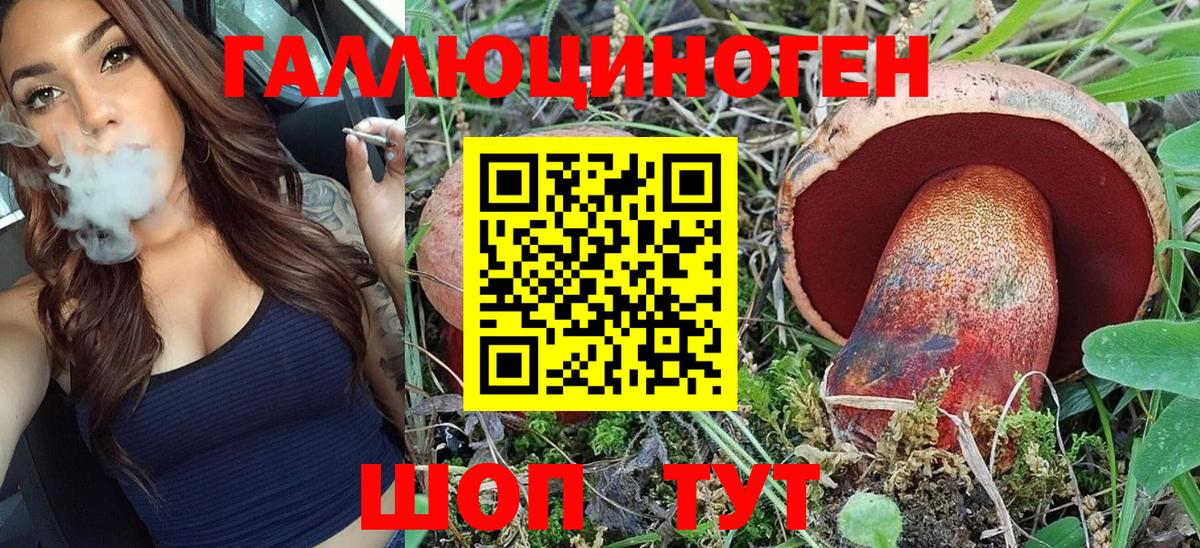 Галлюциногенные грибы Psilocybe  Вход с VPN  Галлюциногенные грибы прущие грибы  Заречный 