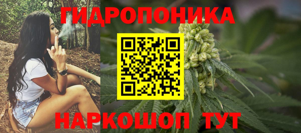 Заречный  МАРИХУАНА конопля  Вход с VPN  Бошки марихуана THC 21%  Конопля AK-47 